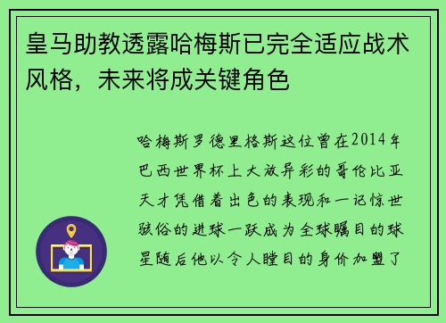 皇马助教透露哈梅斯已完全适应战术风格，未来将成关键角色