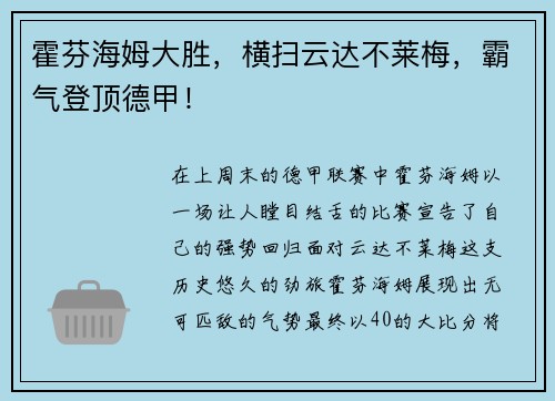 霍芬海姆大胜，横扫云达不莱梅，霸气登顶德甲！