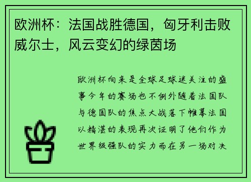 欧洲杯：法国战胜德国，匈牙利击败威尔士，风云变幻的绿茵场