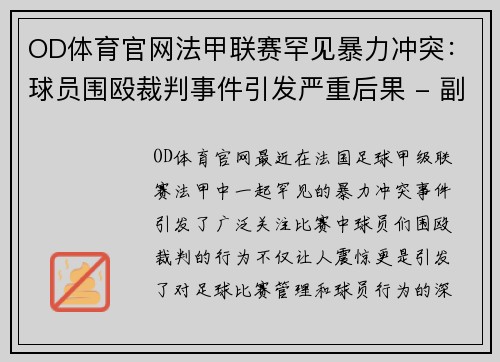 OD体育官网法甲联赛罕见暴力冲突：球员围殴裁判事件引发严重后果 - 副本